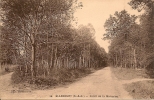 R / 12 / 4 / 270  - ELANCOURT ( 78 )  - Forêt De La Marquise - Elancourt