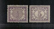 SURINAME  1902 Unused Without Glue Stamp(s) Definitives, Numbers 2 Values Only Thus Not Complete Nrs. 41+46 - Surinam ... - 1975