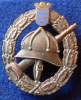 FIREFIGHTING , AUSTRIA BREAST BADGE - Pompieri