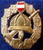 FIREFIGHTING , AUSTRIA BREAST BADGE - Pompieri