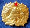 FIREFIGHTING , YUGOSLAVIA , CAP BADGE , LARGE - Bomberos