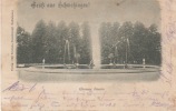GRUSS AUS SCHWETZINGEN 1898 - Schwetzingen