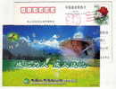 Bee,honeybee,honey Bee,apiculture Beemistress,CN 02 Life Insurance Ningbo Branch Advertising Pre-stamped Card - Honingbijen