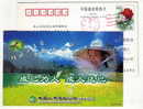 Bee,honeybee,honey Bee,apiculture Beemistress,CN 02 Life Insurance Ningbo Branch Advertising Pre-stamped Card - Abeilles