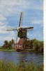 PAYS BAS Nieuwersluis Moulin à Vent Cp Couleur - Andere & Zonder Classificatie