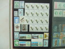 VEND LOT DE TIMBRES D ´ ARGENTINE NEUFS LUXE !!!! - Collections, Lots & Series
