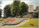 Carte Postale 17. Montendre-les-pins Le Blason Fleuri  Le Chateau Trés Beau Plan - Montendre