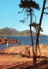 LA CORNICHE D'OR - L'Esterel Et Ses Roches Rouges (251) - Antheor