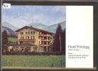 GRÖSSE 10x15 - AESCHI OB SPIEZ - HOTEL FRIEDEGG - TB - Aeschi Bei Spiez