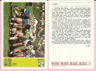 SPORT CARD No 113 - RUGBY,  Yugoslavia, 1981., 10 X 15 Cm - Rugby