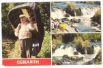 Wales - Cenarth - Mosiac Postcard - 3 Views - 1984 - Carmarthenshire