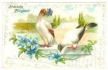 Pfingsten, Blumen, Tauben, Prägekarte, 1910 - Pinksteren