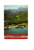 B66093 Germany Bannwaldsee Schwangau Used Perfect Shape Back Scan At Request - Schwabach