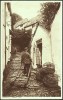 "Clovelly, North Hill",  C1925.     (lobster Baskets, Trolley) - Clovelly