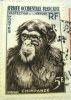 AOF 1955 Chimpanzee 5f - Used - Altri & Non Classificati