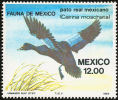 Mexique. Mexico. 1984.  Canard Musqué ( Cairina Moschata ) ** - Entenvögel