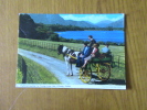 IRLANDE JAUNTING CAR KILLARNEY - Sonstige & Ohne Zuordnung