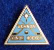 VERNOIN , MINOR HOCKEY, PIN - Invierno