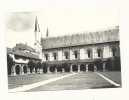Cp, 49, Fontevraud, L'Abbaye, Le Cloître - Other & Unclassified