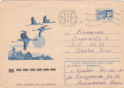 STORK, 1975, COVER STATIONERY, ENTIER POSTAL, SENT TO MAIL, RUSSIA - Cigognes & échassiers