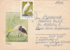 STORK, 1969, COVER STATIONERY, ENTIER POSTAL, SENT TO MAIL, RUSSIA - Cigognes & échassiers