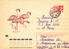 STORK, 1973, COVER STATIONERY, ENTIER POSTAL, SENT TO MAIL, RUSSIA - Storks & Long-legged Wading Birds