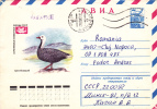 DUCK, 1978, COVER STATIONERY, ENTIER POSTAL, SENT TO MAIL, RUSSIA - Swans