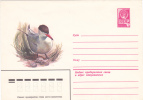 DUCK, 1981, COVER STATIONERY, ENTIER POSTAL, UNUSED, RUSSIA - Swans