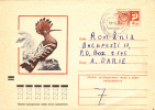 CLIMBING BIRD, 1973, COVER STATIONERY, ENTIER POSTAL, SENT TO MAIL, RUSSIA - Piciformes (pájaros Carpinteros)