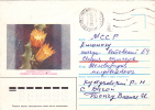 CACTUS, 1987, COVER STATIONERY, ENTIER POSTAL, SENT TO MAIL, RUSSIA - Cactusses