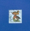 ALLEMAGNE FEDERALE 1998  N° 1848  AYTHYA NYROCA CANARDS  MENACÉE OBLITÉRÉ YVERT TELLIER 2.50 € - Entenvögel