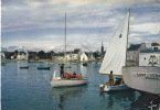 29 / L ILE TUDY / VOILIERS DANS LE PORT / CIRC 1968 - Ile Tudy