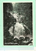 MEE178  Allemagne (B-W)  TRIBERG - Friberger Wasserfall - Torrent Chutes (voir Détails2scan) RARE N&B écrite - Triberg