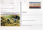 Entero Postal, Alemania,  1991, Entier Postal - Postkaarten - Ongebruikt