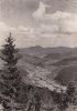 Cp , 68 , MUNSTER , La Vallée , Vue Sur La Petite Vallée Depuis L'Altenberg - Munster