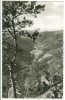 Germany, Hornberg An Der Schwarzwaldbahn, Unused  RP Postcard [P8876] - Hornberg