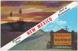 GREETINGS FROM . NEW MEXICO. LAND OF ENCHANTMENT. - Other & Unclassified