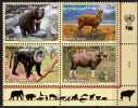 PIA - ONG - 2004 : Protezione Della Natura .- (Yv  494-97) - Unused Stamps