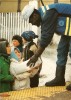 Publicité-opération PTT-SOS Roumanie-aide Humanitaire-france -roumanie-cpm - Postal Services