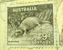 Australia 1937 Platypus 9d - Used - Oblitérés