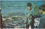 Natives Salmon Fishing, Baby Alaska Hair Seal, On C1960s Vintage Postcard - Other & Unclassified