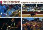 32  VIC FEZENSAC Bandas Feria De Pentecote Festival De Musique Latine Marches De Nuit, Blason - Vic-Fezensac