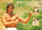 LE GUERRIER DU TEMPLE DENIS CHATELAINSPECTACLE KUNG-FU A ST RAPHAEL  REF 26732 - Martial