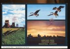 Delcampe - CPM Neuve Canada Manitoba Greetings From FALCON LAKE, Salutations De Manitoba Multi Vues - Sonstige & Ohne Zuordnung