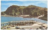 United Kingdom, The Pier And Hillsborough Hill, Ilfracombe, 1950s Unused Postcard [P8902] - Ilfracombe