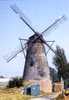 EKSEL (Limb.) - Molen/moulin/mill - Historische Opname Van De Verdwenen Sint-Antoniusmolen (gesloopt: 1981) - Hechtel-Eksel