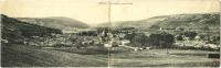 Poissons - Vue Générale, Prise De Châtel - & Panoramic - Poissons