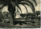 64-Sicilia-Catania-Acireale-Monumento Ai Caduti-v.1937 X S.Maria Di Licodia-Un Francobollo Asportato Ed Altro Aggiunto - Acireale