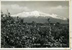 67*-Sicilia-Catania-Acireale-L' Etna-v.1956 X Mussomeli-Caltanissetta.Lieve Taglio Lato Destro. - Acireale