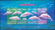 Bloc De Hong Kong Sur Les Dauphins De Chine. XX - Delfine